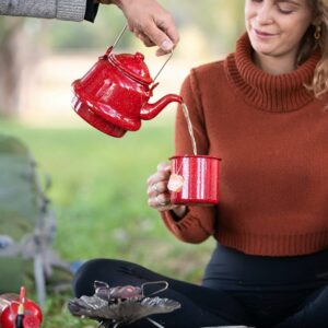 Organic India Tulsi Peppermint Herbal Tea Holy Basil, Stress Relieving & Refreshing Caffeine Free 18 Bags 1 Pack