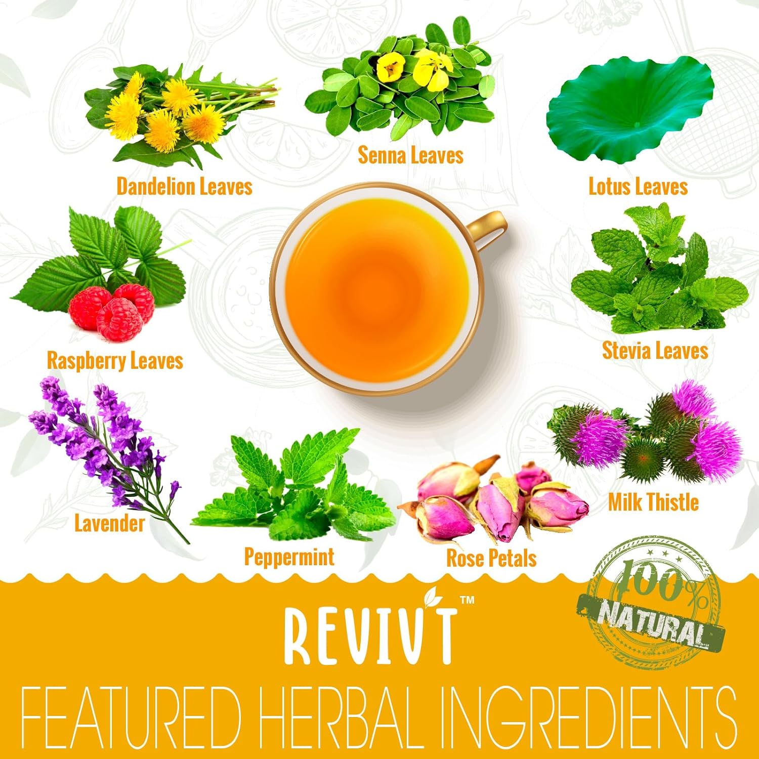 REVIVT Colon Detox Tea All Natural Colon Cleanse Tea with Senna 14 Day Supply