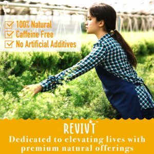 REVIVT Colon Detox Tea All Natural Colon Cleanse Tea with Senna 14 Day Supply