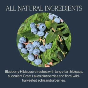 Rishi Tea Blueberry Hibiscus Herbal Tea Organic Caffeine Free Sachet Bags Enjoy Hot or Iced 15 Count Pack of 1