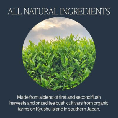 Rishi Tea Sencha Japanese Green Tea Organic Sachet Bags 15 Sachet