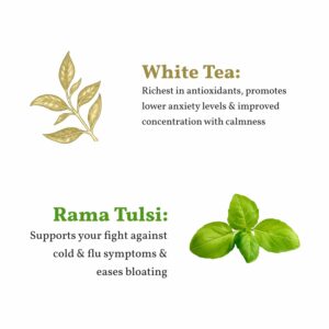 Sancha Tea Boutique Tulsi White Tea 25 Pyramid Bags Indian Holy Basil Leaves with Silver Needle White Tea