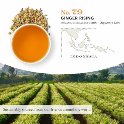 Steven Smith Teamaker Ginger Rising No. 79 Organic Ginger Lemon Herbal Tea Blend Caffeine Free 15 Sachets