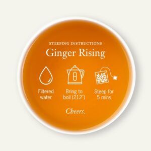 Steven Smith Teamaker Ginger Rising No. 79 Organic Ginger Lemon Herbal Tea Blend Caffeine Free 15 Sachets