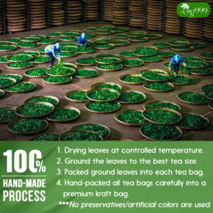 TOG999 Premium 120 Holy Basil Leaf Tea Bags 100% Natural & Pure Loose Leaf Herbal Tea No Caffeine