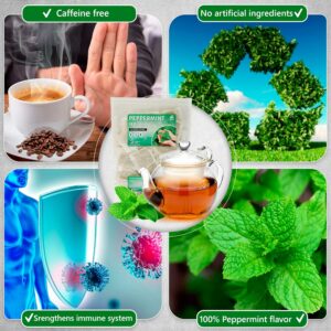 TeaDreamTea Peppermint Tea Bags Caffeine Free Healthy Mint Tea 200 Bags