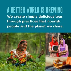 Teatulia Organic Chamomile Tea Bags 50 Pyramid Teabags Caffeine Free Herbal Camille Tea