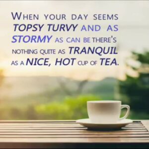 Tetley Green Tea 72 Tea Bags Refreshing Light Flavor Natural Ingredients