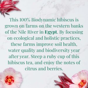 The Republic of Tea Organic Egyptian Hibiscus SuperHerb Tea Tin 36 Biodynamic Herbal Tea Bag Caffeine Free