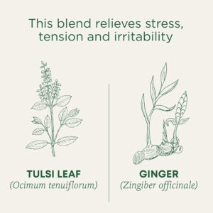 Traditional Medicinals Tea Organic Tulsi & Ginger 16 Tea Bags