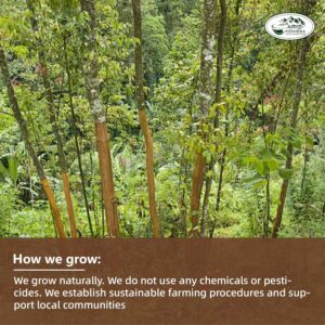 Veyorra Cinnamon Tea Bags Natural & Pure Cinnamon Bark Herbal Tea No Caffeine 30 Bags