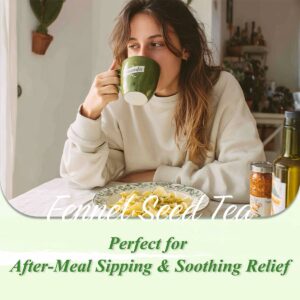 WT WEETEE Fennel Tea Bags 100 Count 100% Natural & Pure Fennel Seeds Tea