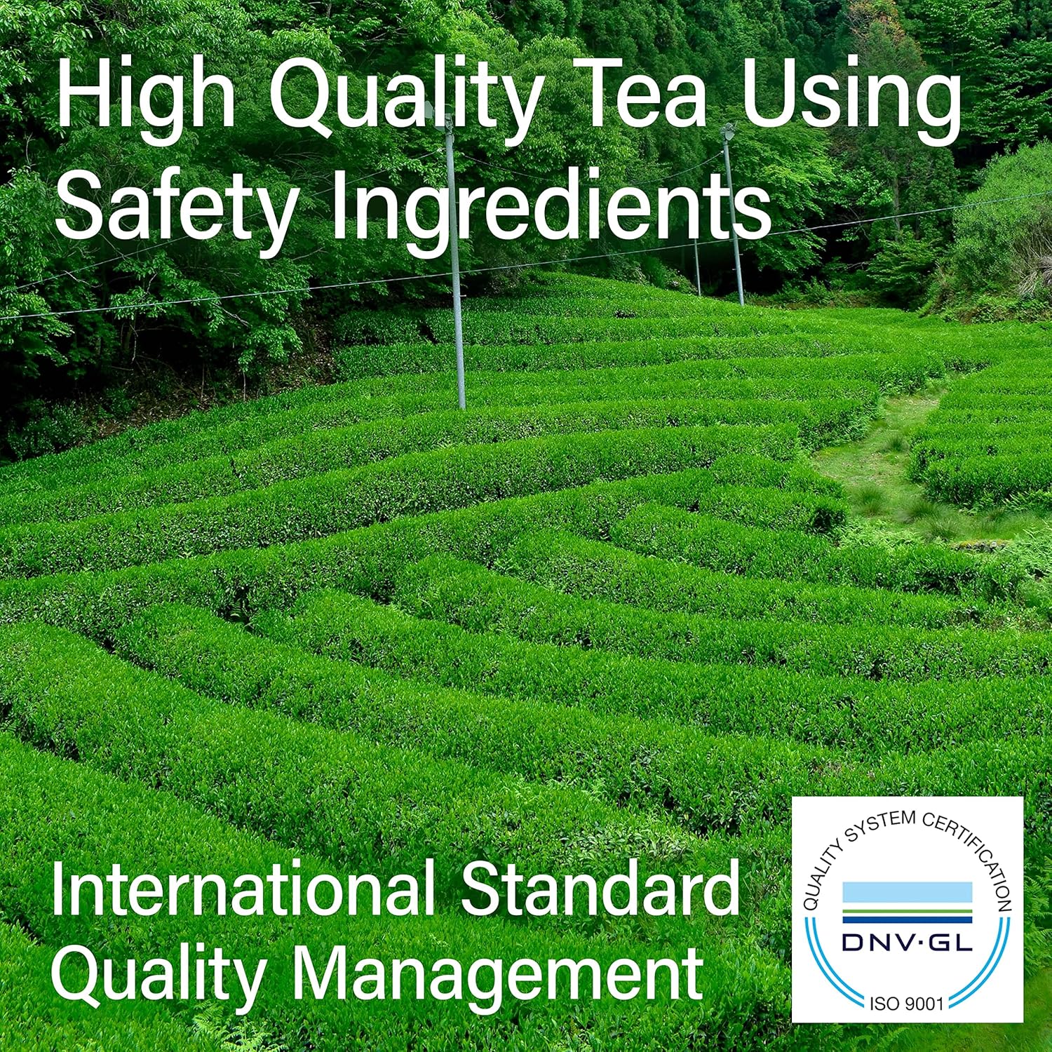 chaganju Genmaicha Green Tea with Matcha roasted brown rice tea Low caffeine 3g×60 tea bags