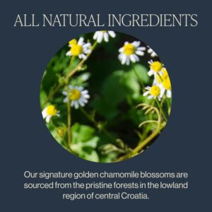 ishi Tea Chamomile Medley Herbal Tea Organic Caffeine Free 50 Teabags