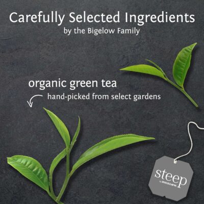 steep Organic Pure Green Tea 20 Count Pack of 6 120 Tea Bags Total