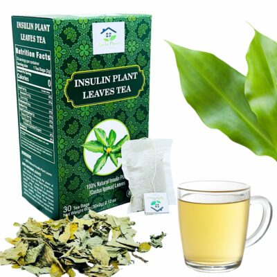Dried Insulin Plant Leaves Tea Costus Igneus Herbal Tea 30 Tea Bags