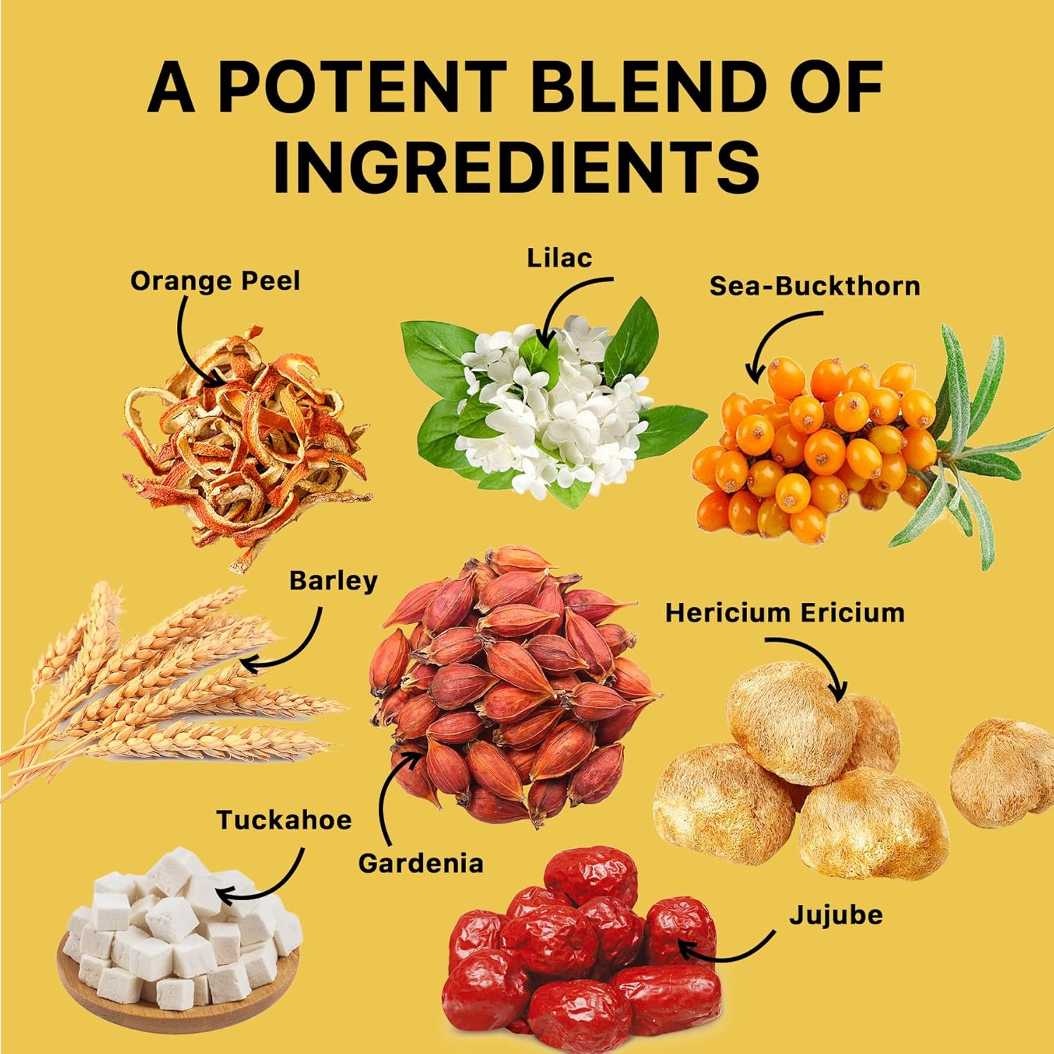 Auranic 20 Teabags Natural Stomach Ease Tea for Ulcer Healing Solution