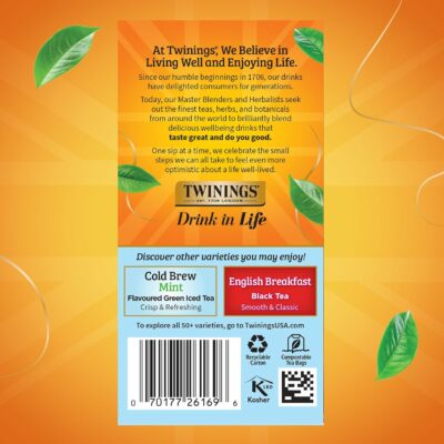 Twinings Mixed Berries Cold Brew Iced Tea Bags 20 Count Pack of 1 20 Teabags