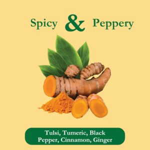 Tadin Turmeric Blend Herbal Tea 24 Tea Bags Per Box Pack of 6