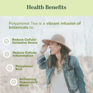 Jade Tea Organic Polyphenol Tea Antioxidant Rich for Inflammation Support 25 Teabags