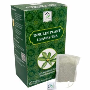 Dried Insulin Plant Leaves Tea Costus Igneus Herbal Tea 30 Tea Bags