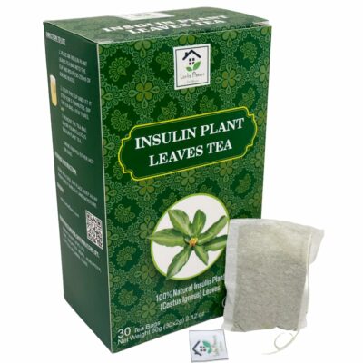 Dried Insulin Plant Leaves Tea Costus Igneus Herbal Tea 30 Tea Bags