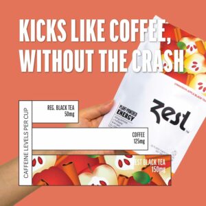 Zest Energy Tea Cinnamon Apple Spice High Caffeine Black Tea Bags Hot or Iced 20 Teabag Pack