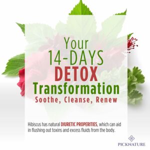 PICKNATURE Hibiscus Detox Cleanse Tea Freshly Picked from Thailand 60 tea bags