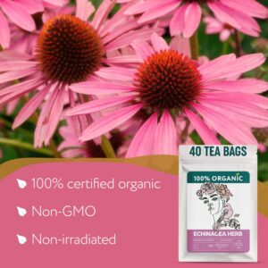 Echinacea Tea Organic 40 Tea Bags 100% Pure Natural Immunity Support Caffeine Free