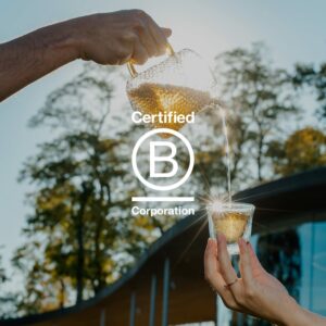 Grace Farms BREATHE Wellness Tea Blend Immunity and Digestion Support 50 Sachet