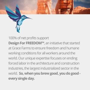 Grace Farms RISE Organic Tea Blend Morning Energy & Focus 100 Teabags