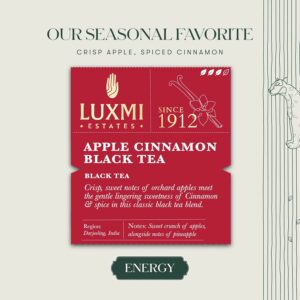 Luxmi estates Apple Cinnamon Black Tea 50 Tea Bags 100g 50 Cups Bulk Pack