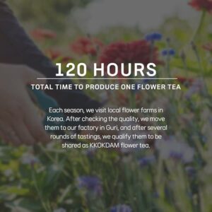 KKOKDAM Acacia Butterfly Tea Bags