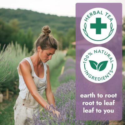 Vital Bloom 120 Tea Bags Lavender Tea Stress Relief Herbal Tea Caffeine Free Free Tongs Included