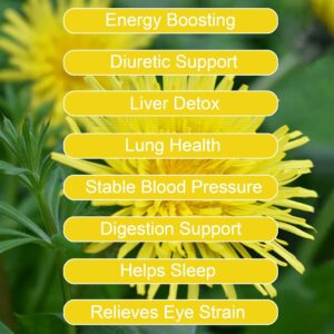 Dandelion Leaf & Root Tea bags 40 Teabags Natural Dandelion Tea for Liver & Kidney Health Caffeine free