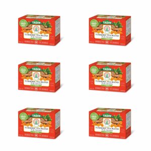 Tadin Turmeric Blend Herbal Tea 24 Tea Bags Per Box Pack of 6