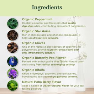 Jade Tea Organic Polyphenol Tea Antioxidant Rich for Inflammation Support 25 Teabags