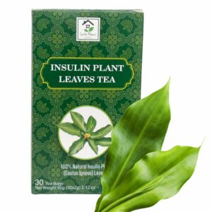 Dried Insulin Plant Leaves Tea Costus Igneus Herbal Tea 30 Tea Bags