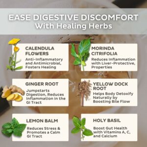 Trust Your Gut Organic Herbal Tea Blend Liver Detox Digestion 30 Teabags