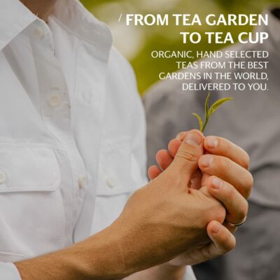 Grace Farms BREATHE Wellness Tea Blend Immunity and Digestion Support 50 Sachet