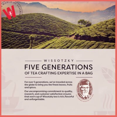 Wissotzky Strawberry Burst Herbal Tea 20 Tea Bags Caffeine Free Tea