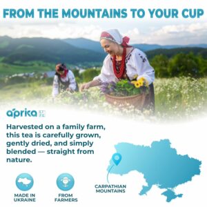 Aprika Life Sleep Tea for Bedtime Relaxation & Stress Relief Natural Caffeine Free 60 Bags