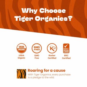 Tiger Organics Ginger Herbal Tea 100 Biodegradable Teabags Natural Immunity Booster & Healthy Digestion