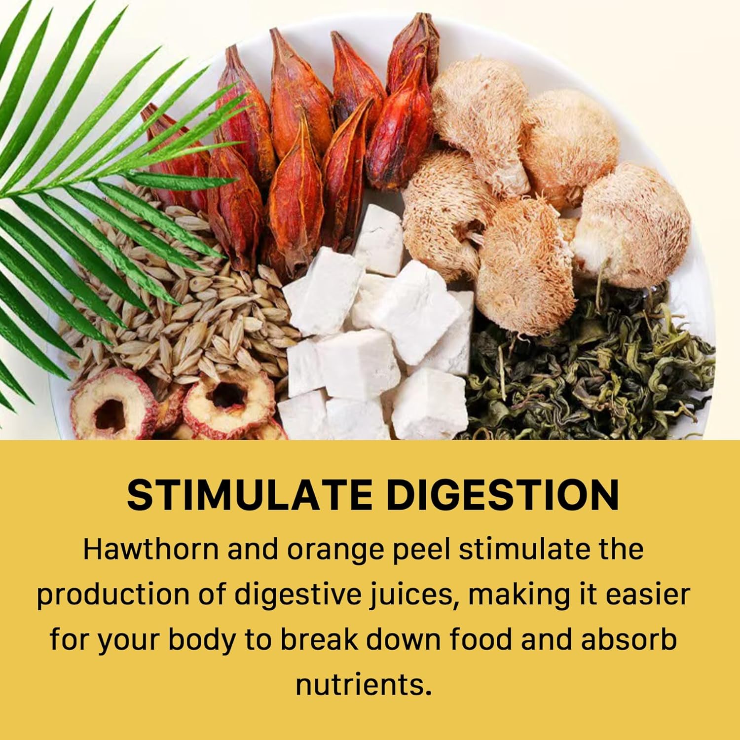 Auranic 20 Teabags Natural Stomach Ease Tea for Ulcer Healing Solution