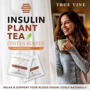 True Vine Insulin Plant Tea Herbal Organic Tea Bags for Blood Sugar Support 31 Sachets