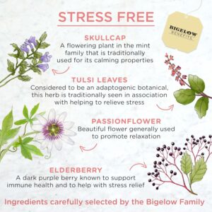 Bigelow Benefits Stress Free Rose & Mint Herbal Tea Caffeine Free 18 Count Pack of 6