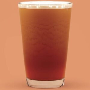 Harney & Sons Hot Cinnamon Spice Nitro Infused Tea Decadent, Stimulating Smooth Energy 11 oz cans