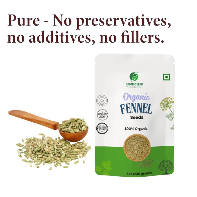 Organic Fennel Seeds Whole Seeds for Tea and Cooking 8 oz