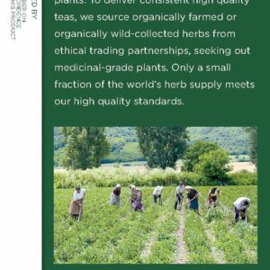 Traditional Medicinals Organic Licorice Root Herbal Tea Pack of 1 16 Tea Bags