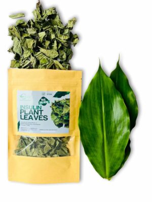 Dried Insulin Plant Leaves 1 OZ Natural Loose Leaf Tea Costus Igneus